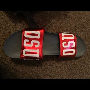 Ohio State Slides!
